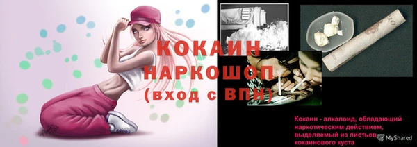 индика Кущёвская