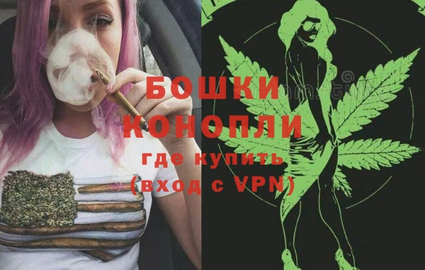 индика Кущёвская