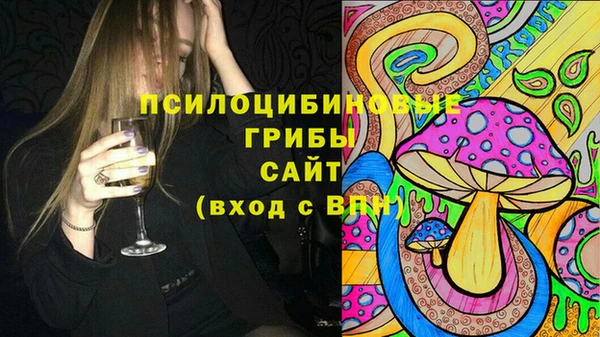 индика Кущёвская