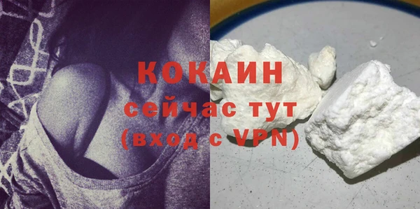 индика Кущёвская