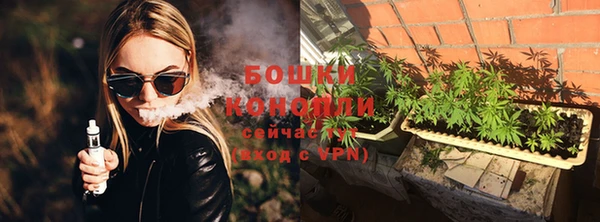 индика Кущёвская